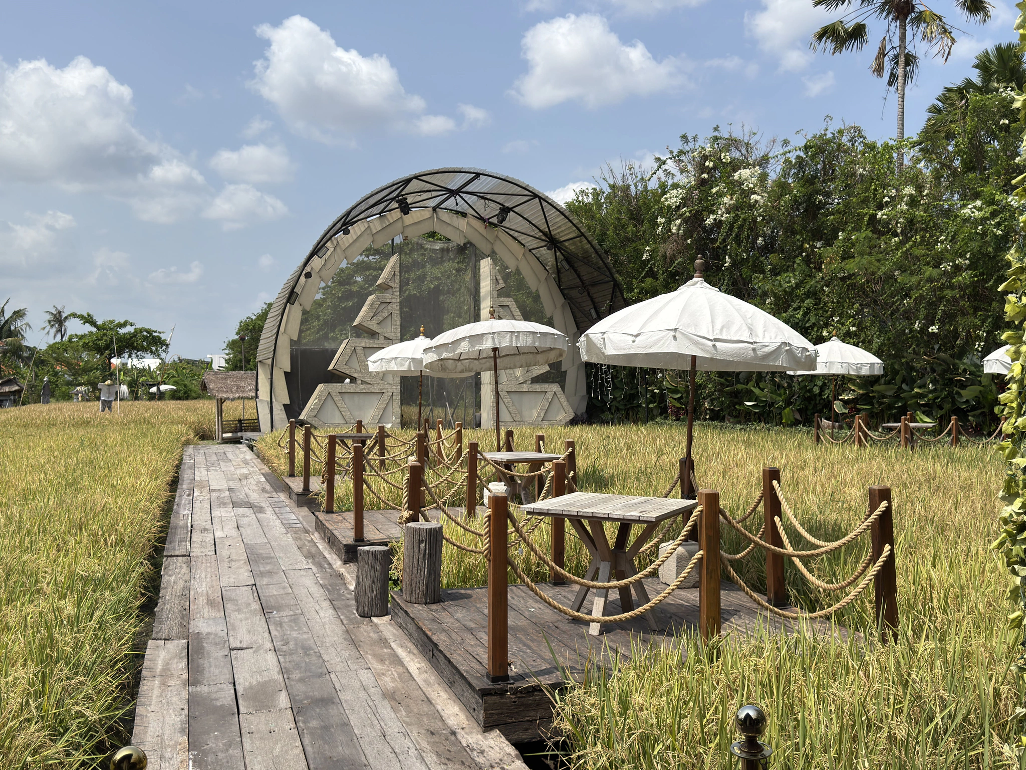 Green rice field view from Sardine, a rice field restaurant in Seminyak, Bali
